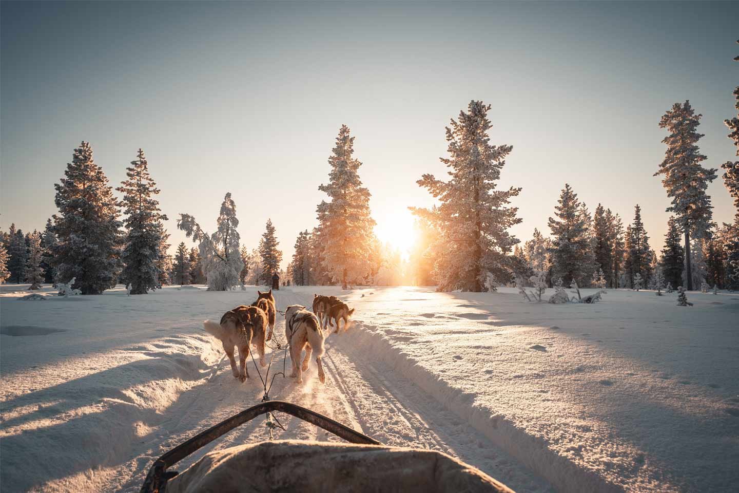 List of Wonderful Winter Travel Destinations 2026: Snowy Escapes, Festive Cities, and Sunny Getaways